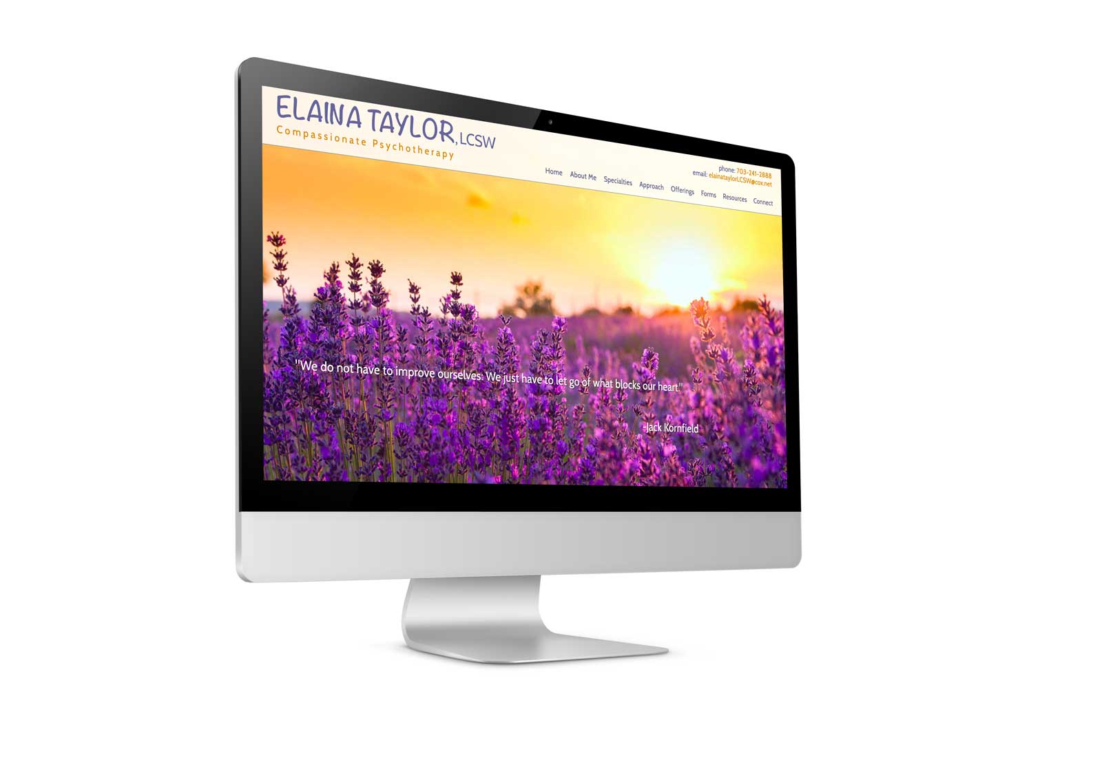 elaina taylor website display
